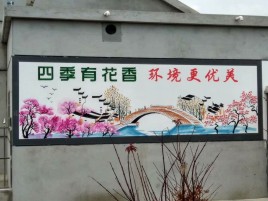 南平墙绘的特点和形势