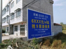 南平墙体广告质量分析